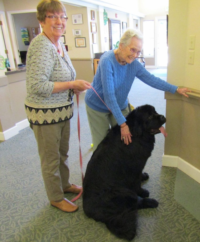 Elderly resident petting a Newfoundland dog at Rackleff Place in Canby, Oregon